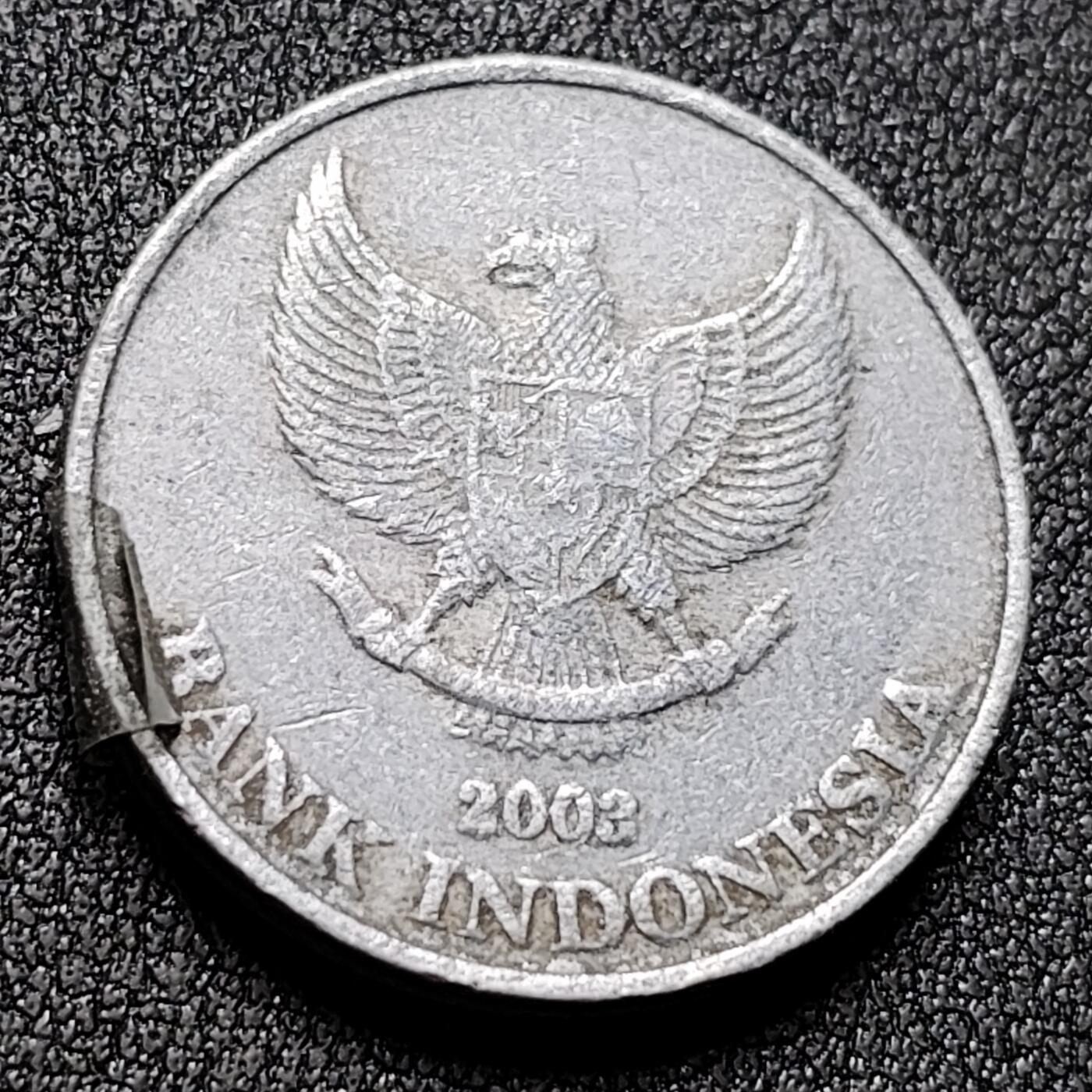 泉币菌-第130场-精品福利场 。