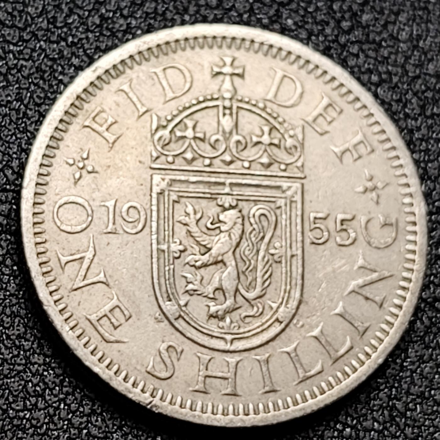 泉币菌-第131场-精品福利场 。