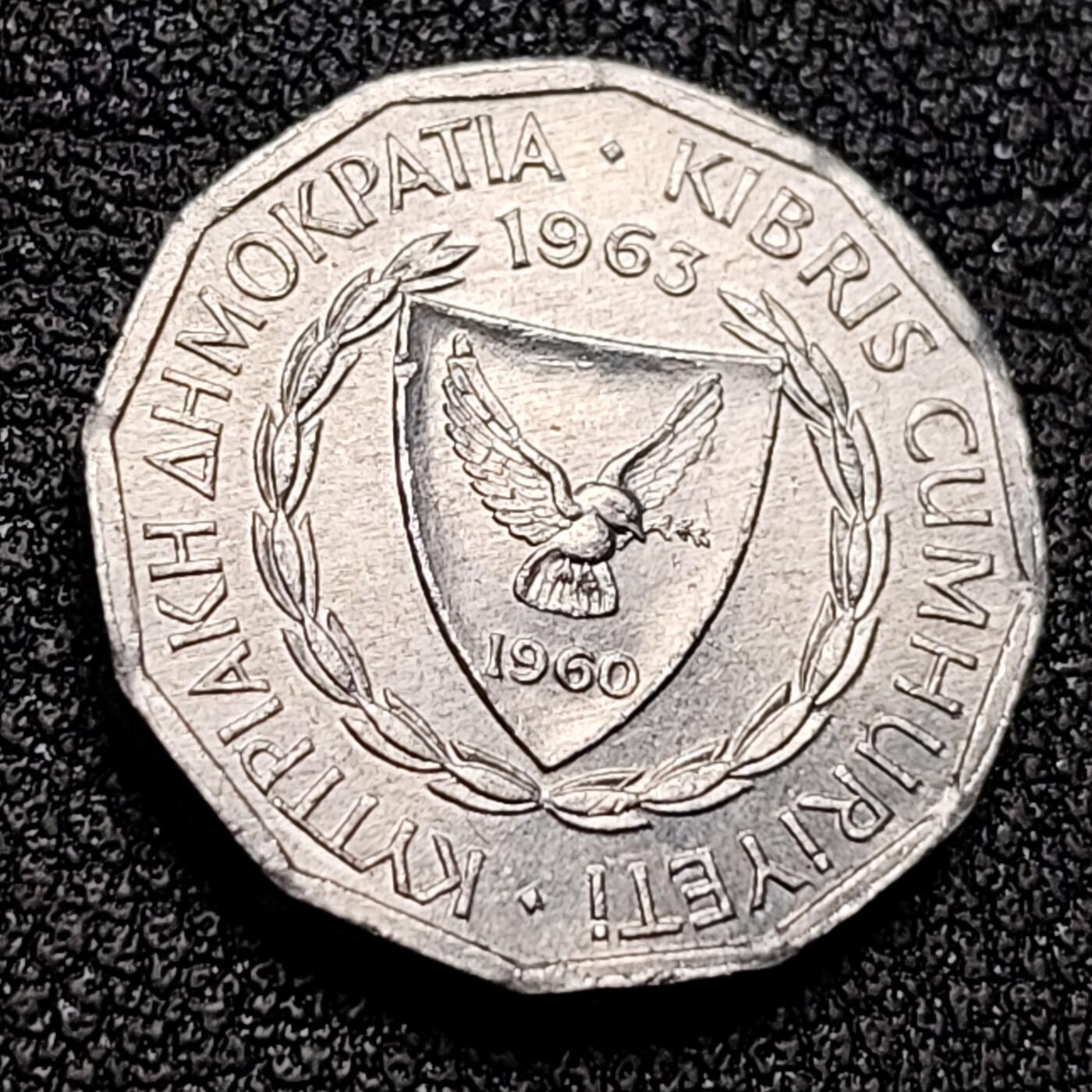 泉币菌-第132场-精品福利场 。