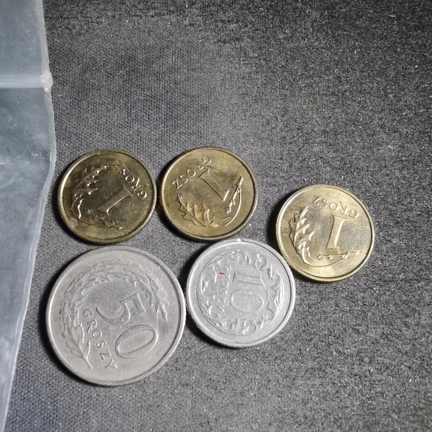 沼泽如烟--第906场 波兰五枚