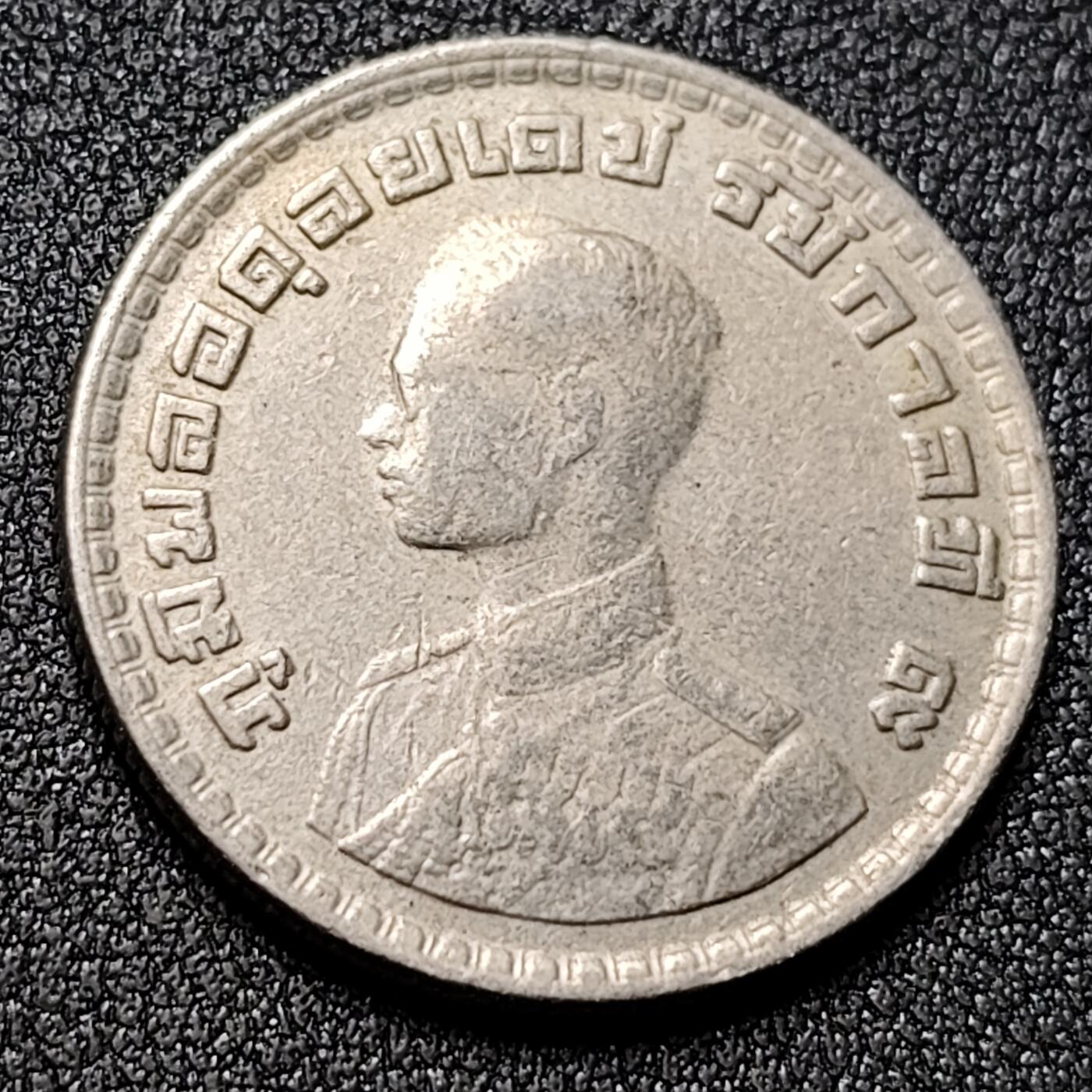 泉币菌-第130场-精品福利场 。