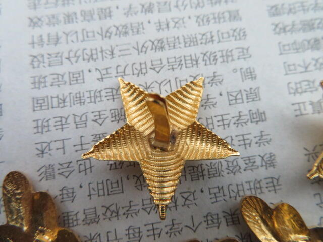09--87早期武警将军肩章星星一对松枝一付（铜皮材质，松枝无背纹版）