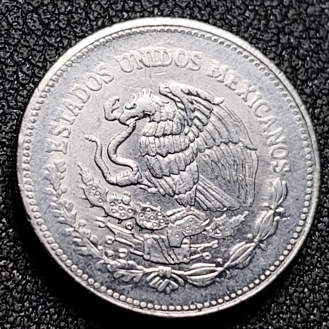 泉币菌-第132场-精品福利场 。