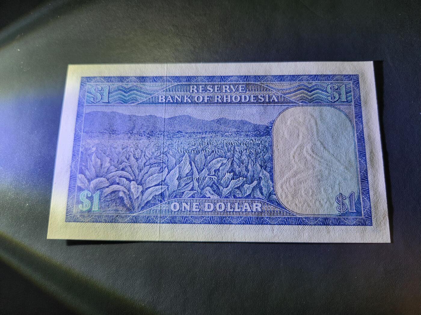 11月19号晚上8点 外国纸币自动截拍第61场 罗德西亚1979年1新品 动物水印026008好号