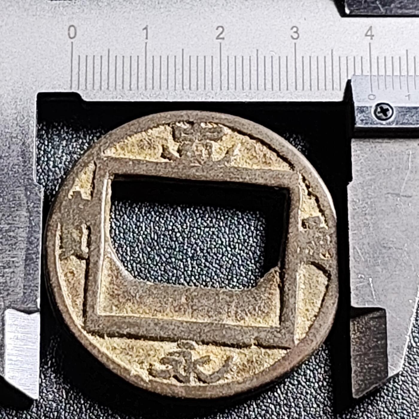 泉币菌-第132场-精品福利场