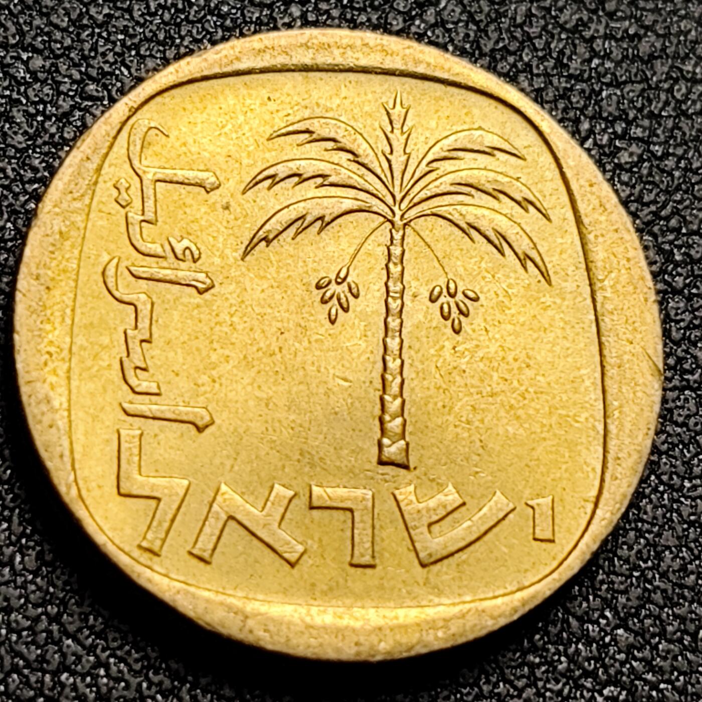 泉币菌-第130场-精品福利场 。