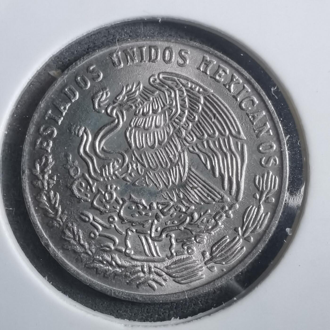 沼泽如烟--第907场