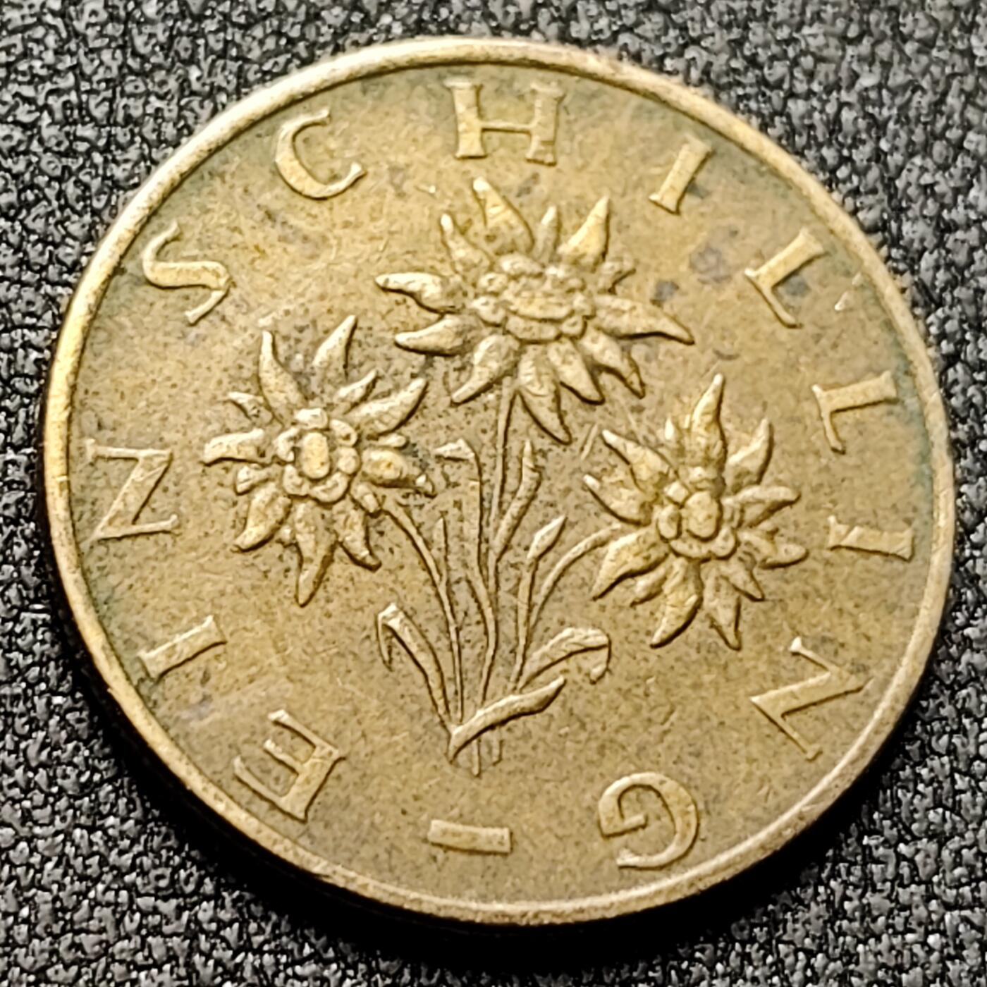 泉币菌-第132场-精品福利场 。