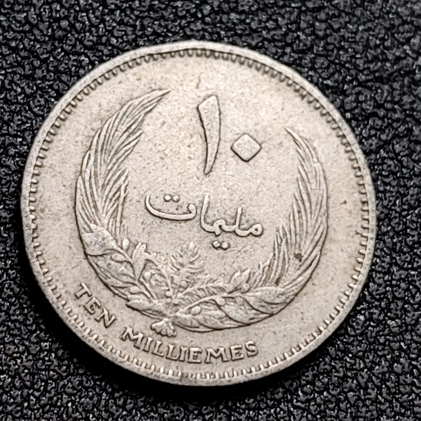 泉币菌-第132场-精品福利场 。