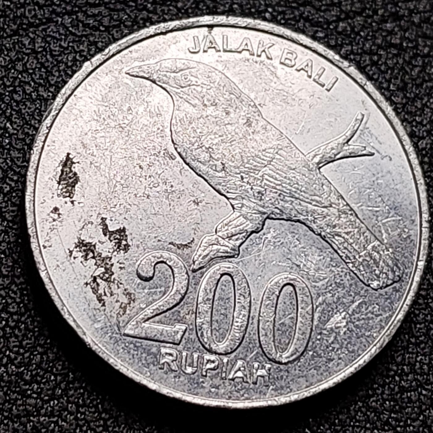 泉币菌-第131场-精品福利场 。