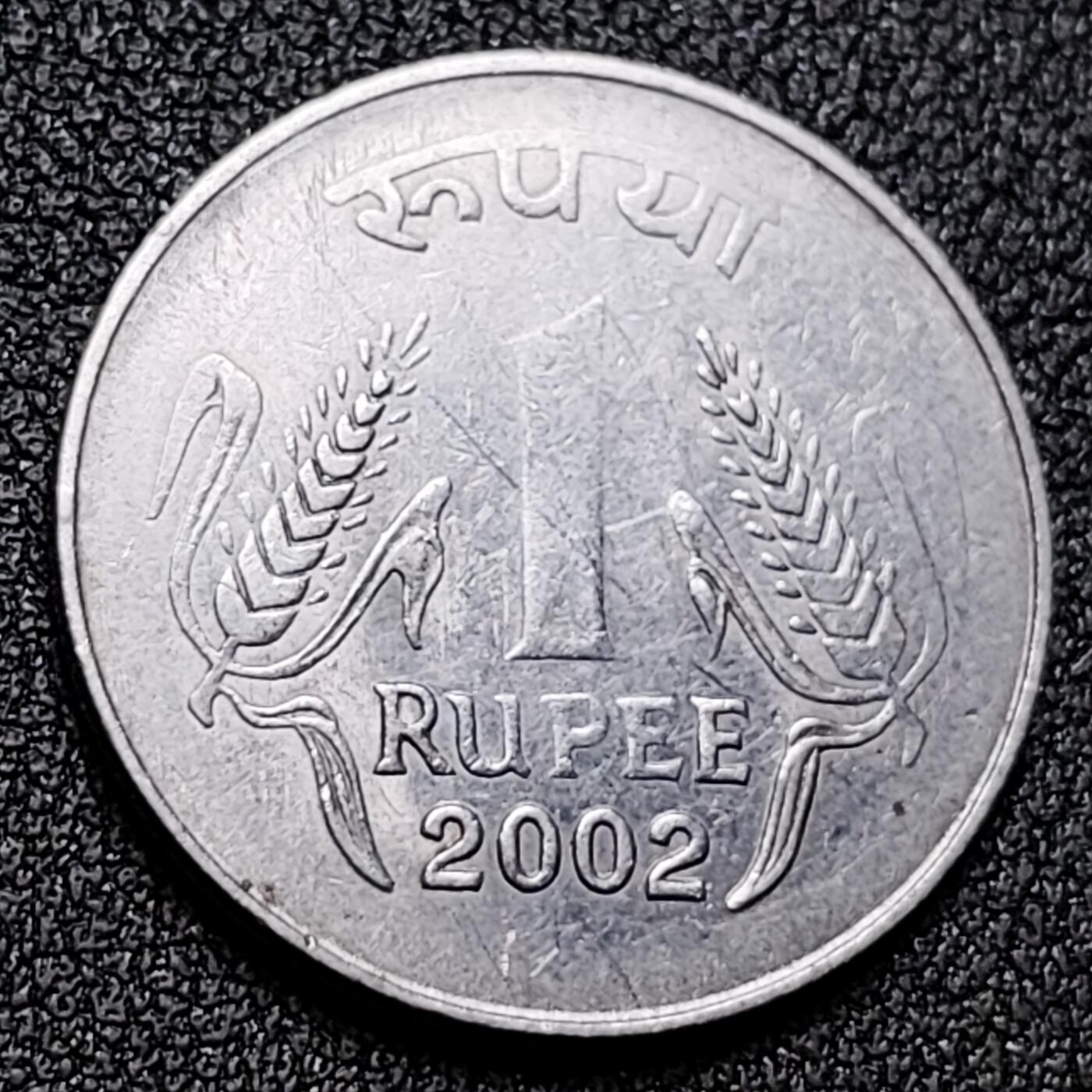 泉币菌-第131场-精品福利场 。