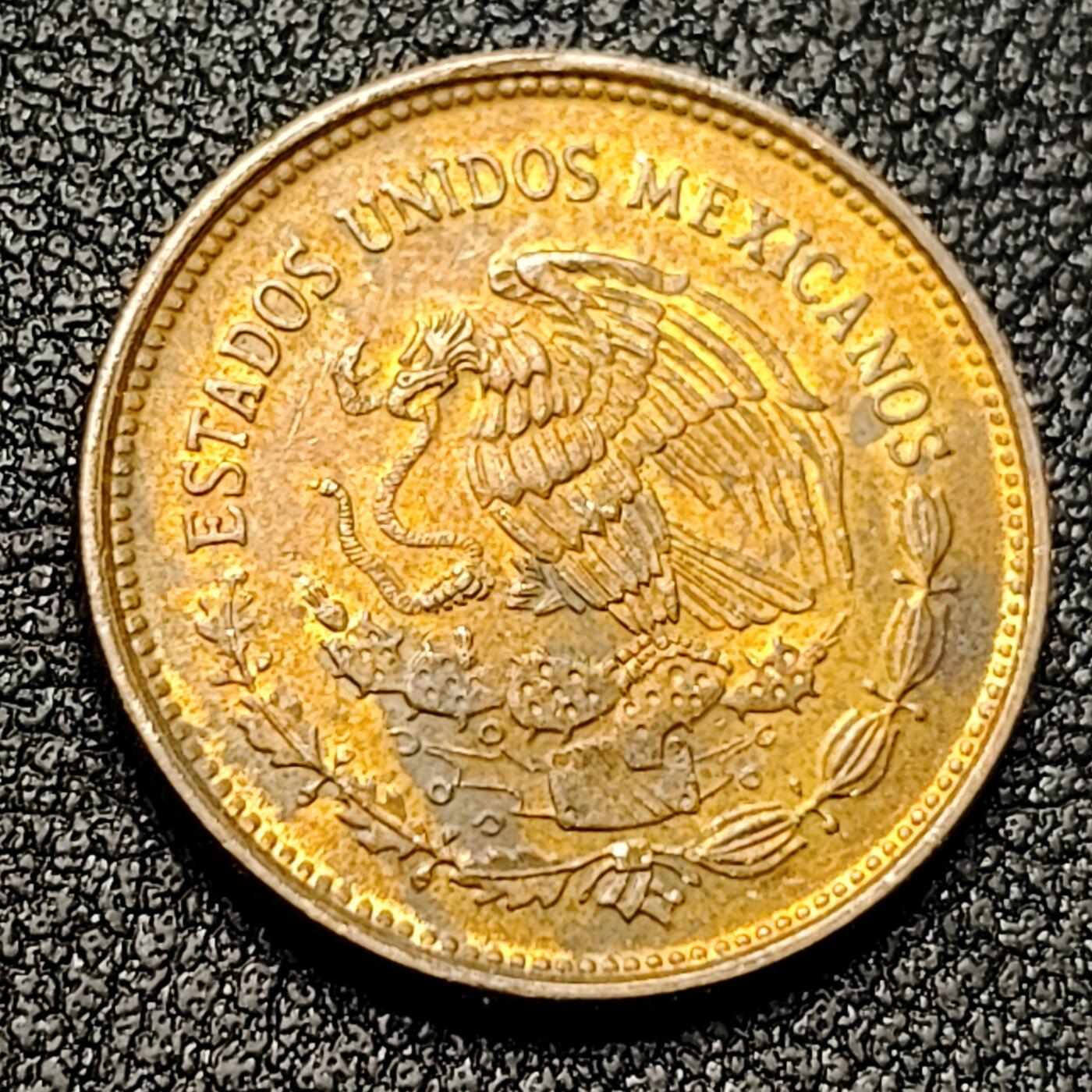 泉币菌-第131场-精品福利场 。