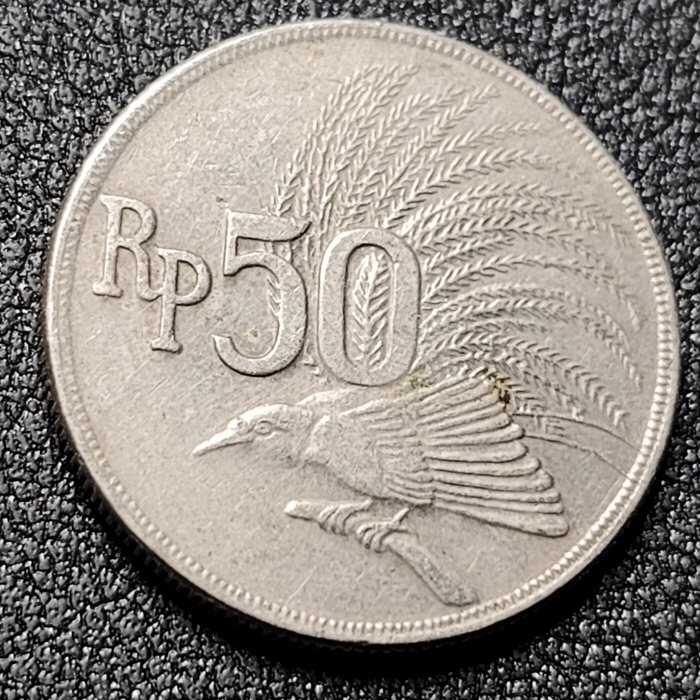 泉币菌-第130场-精品福利场 。