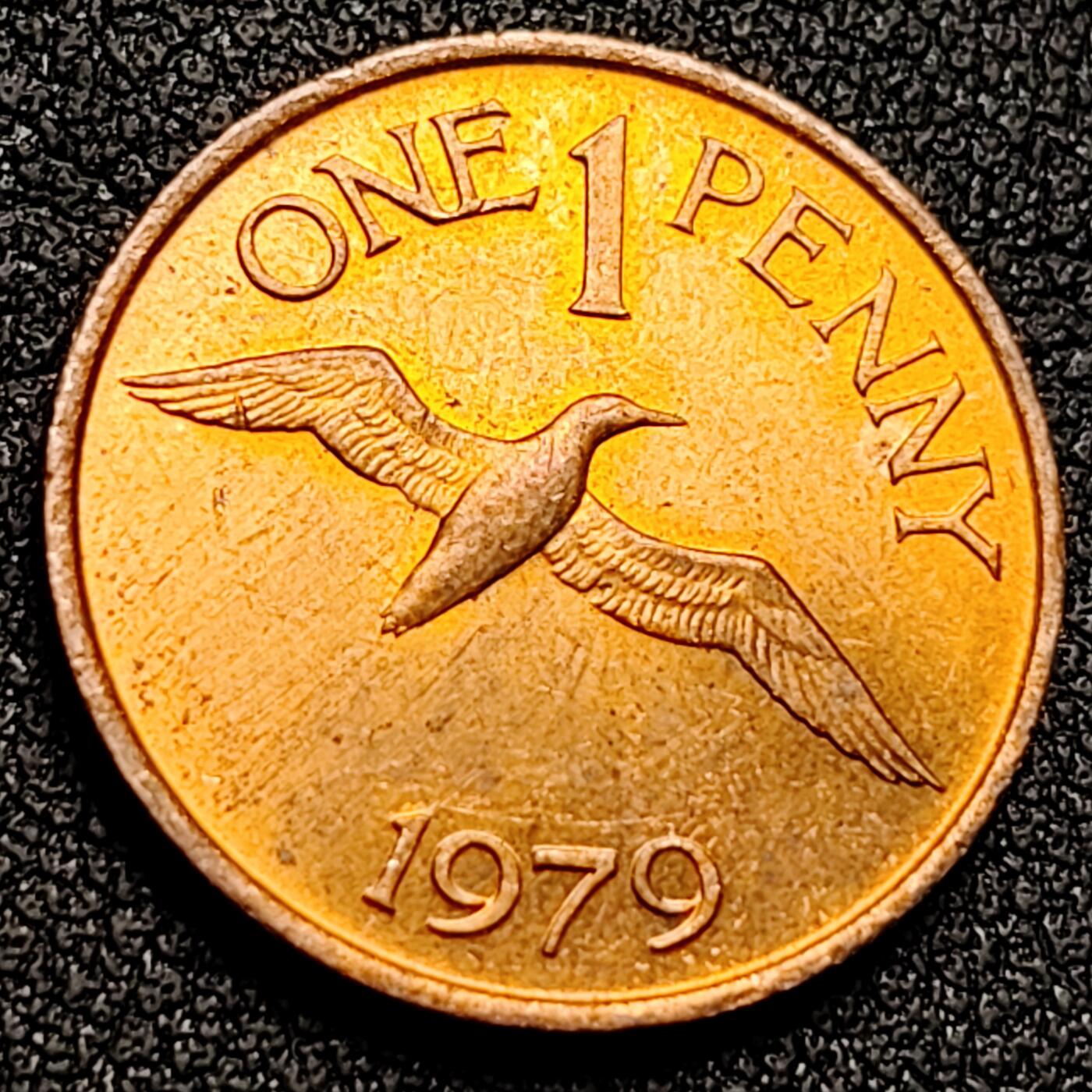 泉币菌-第133场-精品福利场 。