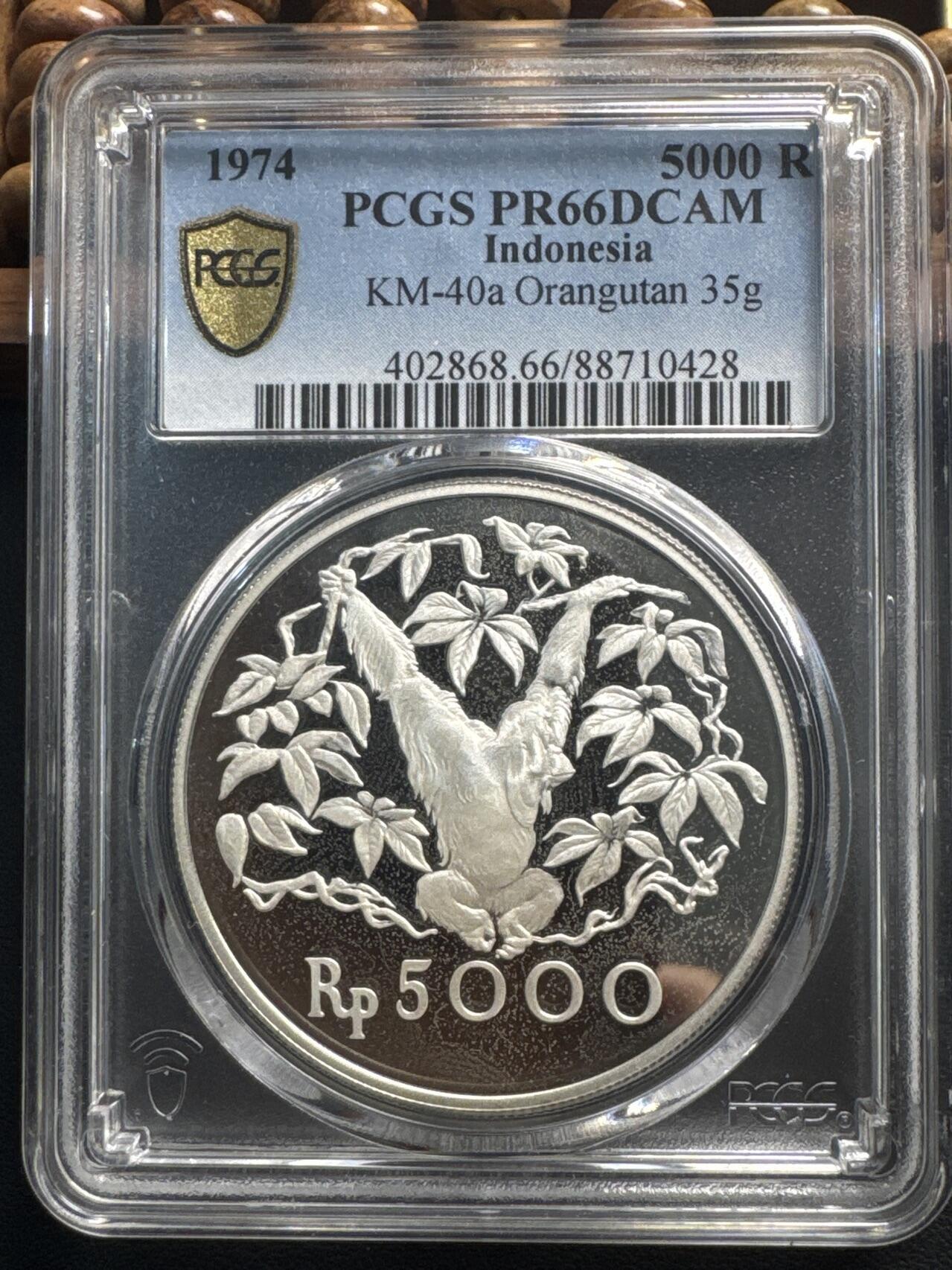❤️【币观天下】❤️ 第331期钱币拍卖- 2025.11.21周五晚上6点半场-长期征集拍品 印度尼西亚1974WWF大猩猩长臂猿银币 PCGS PR66