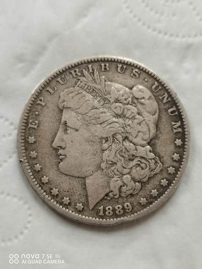 外国钱币 - 1889年美国鸽子银币
