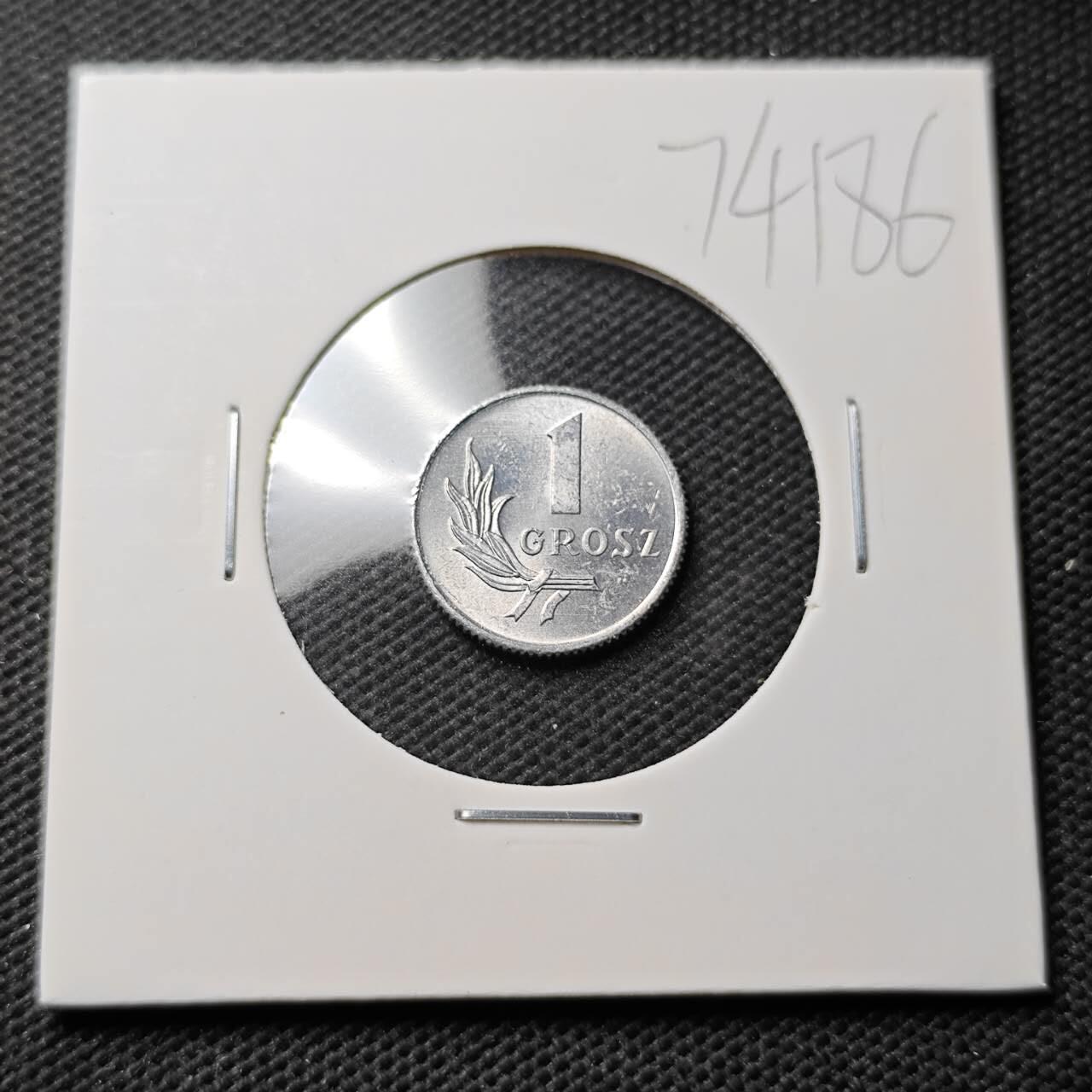 KK钱币收藏小铺  第374场  2月预留时间 周末发货  1949波兰1格罗申