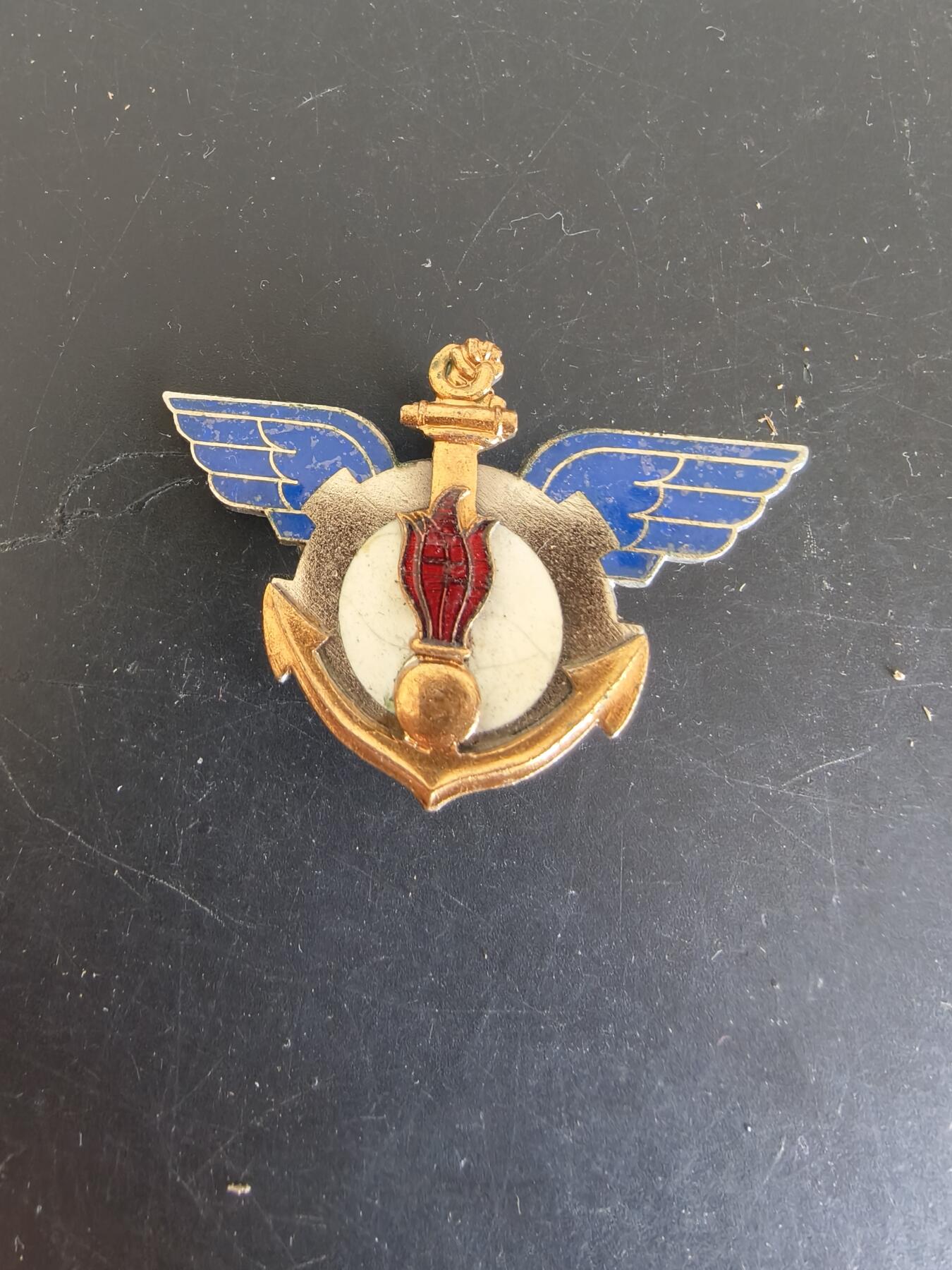 老王徽章第164期  法国海军航空兵证章