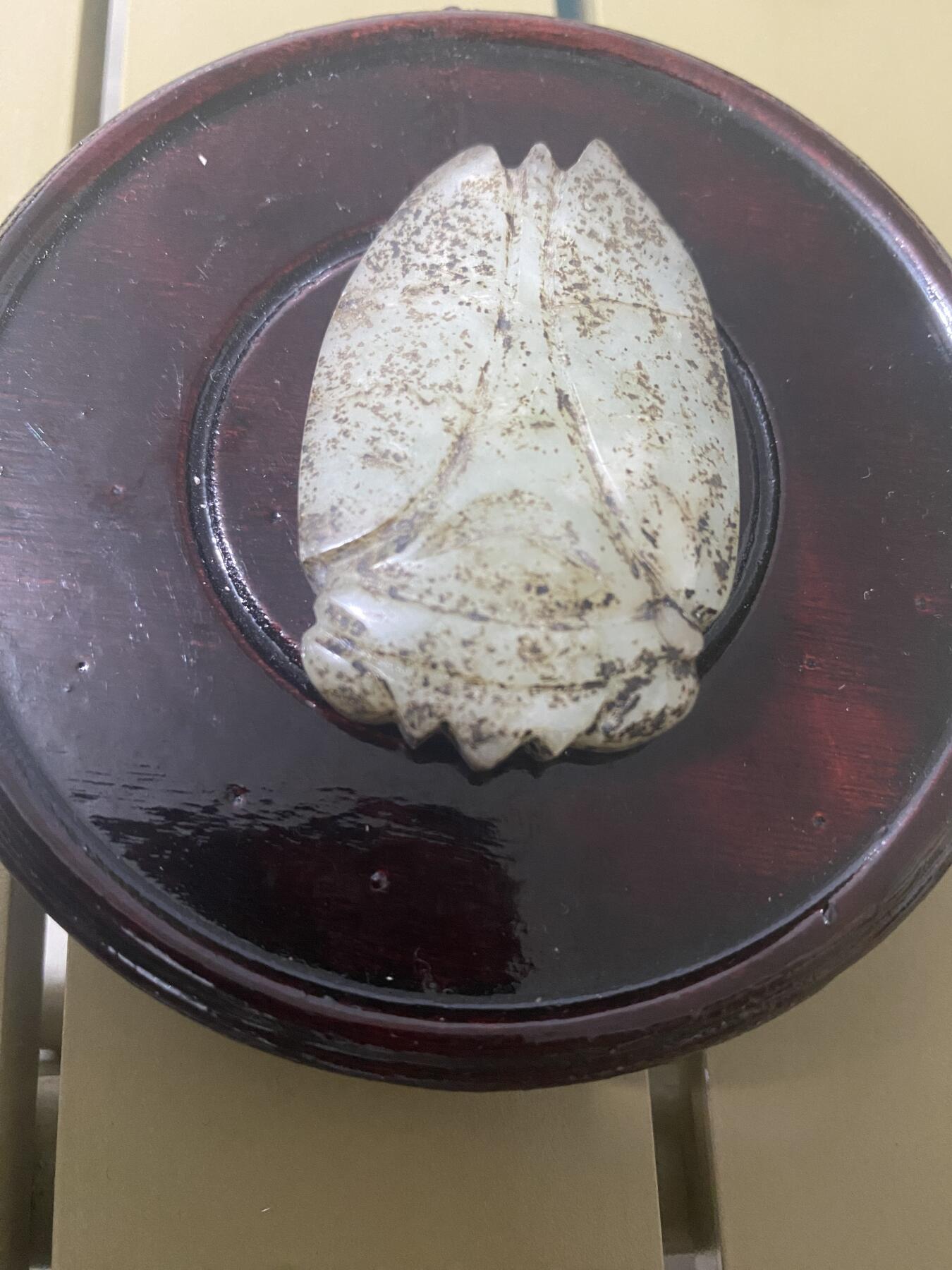 江南站杂项场 玉蝉