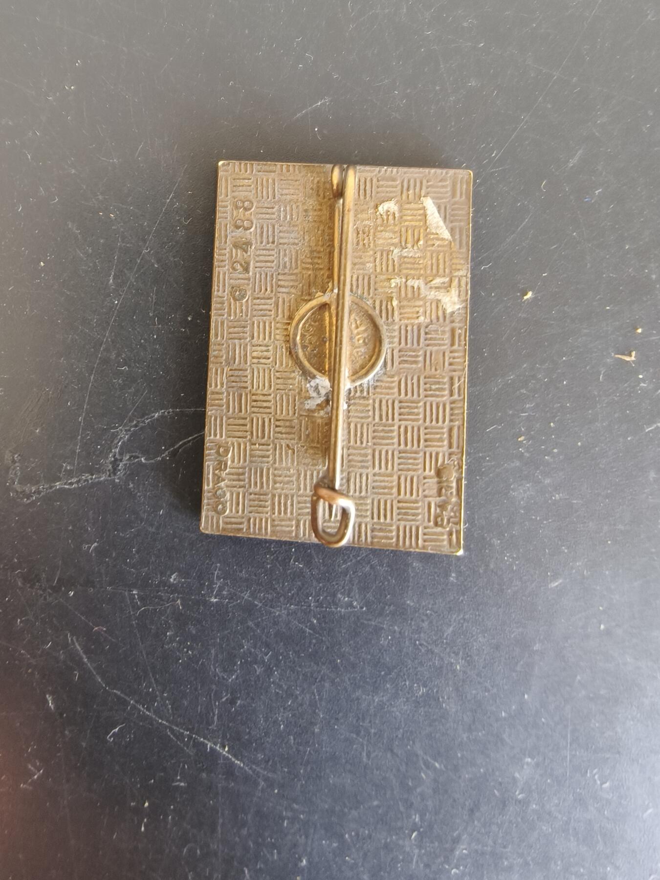 老王徽章第164期  法国外籍军团马约特岛特遣队证章 