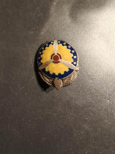 老王徽章第164期 - 美国陆军航空队航空勤务司令部证章     925银     二战时期横针版 