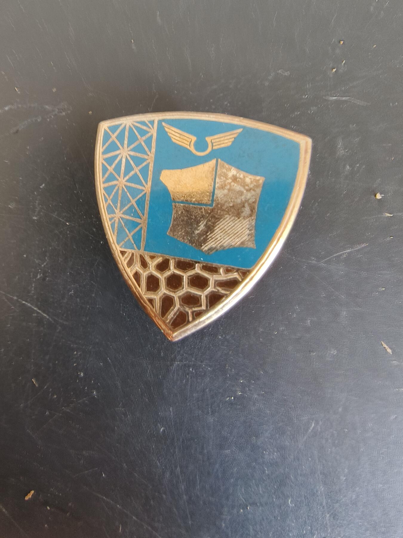 老王徽章第164期 法国海外空军基地证章 