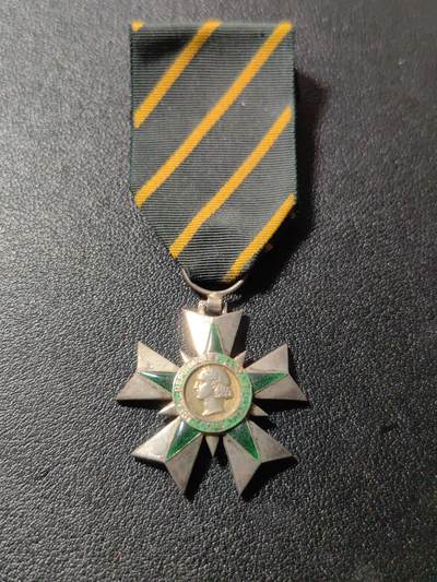 靖甫拍卖第十一场 - 法国骑士级战士功勋勋章 少见