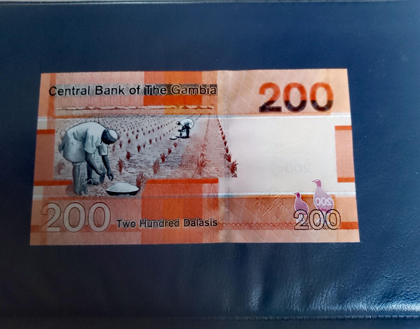 全新冈比亚2019年A冠5、10、20、50、100、200达拉西靓品纸币6枚一组