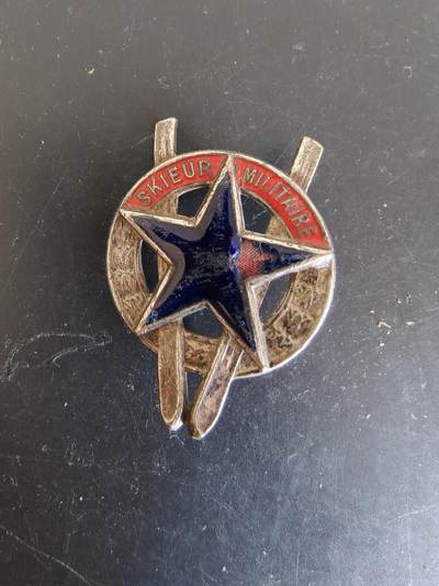 老王徽章第164期 - 法国军事滑雪技能章 