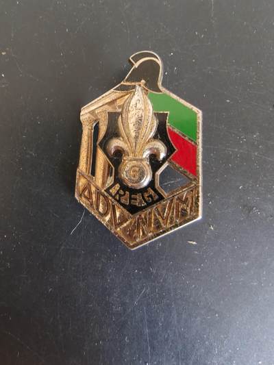 老王徽章第164期 - 法国外籍军团第6工兵团证章 