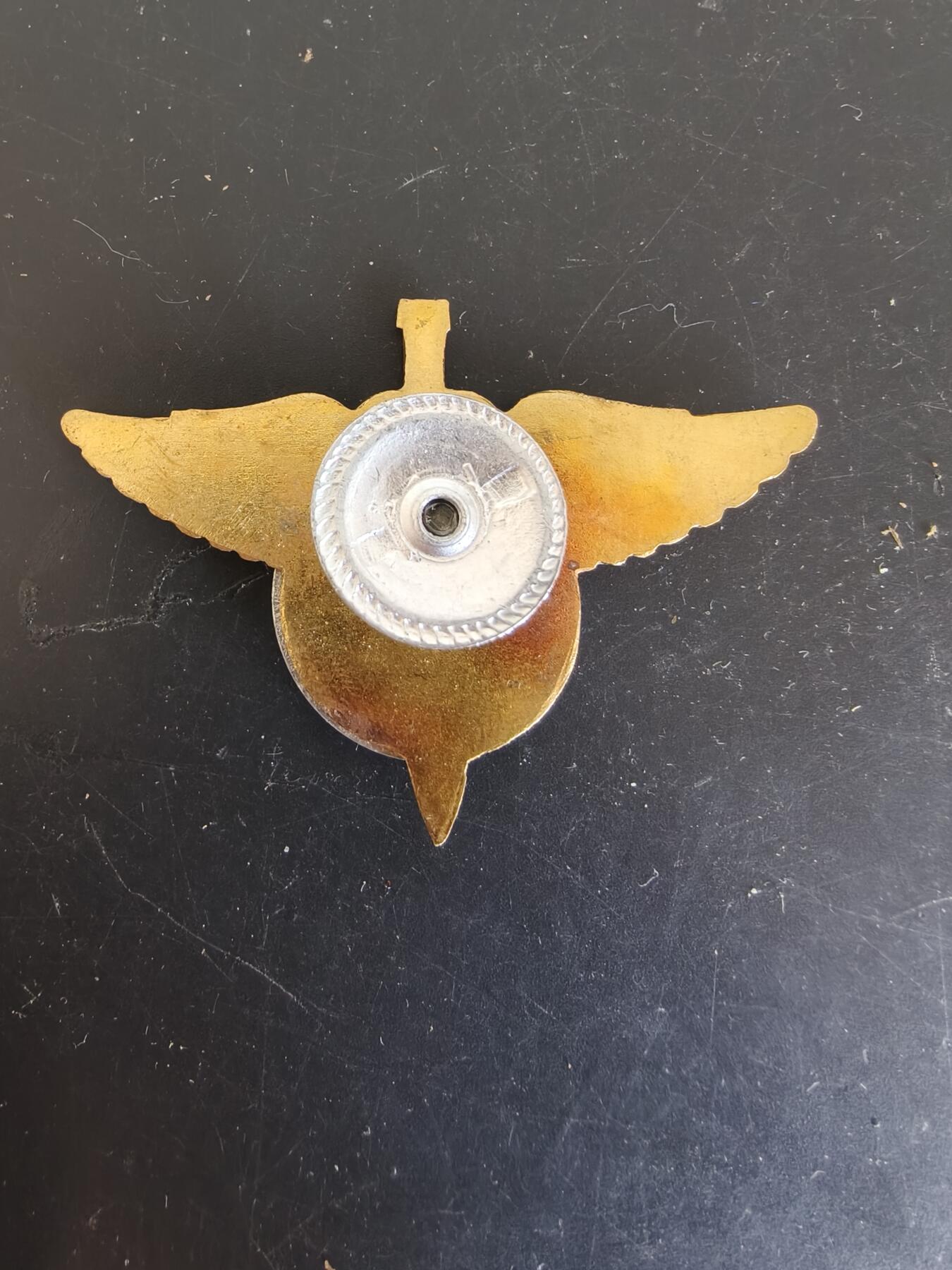 老王徽章第164期