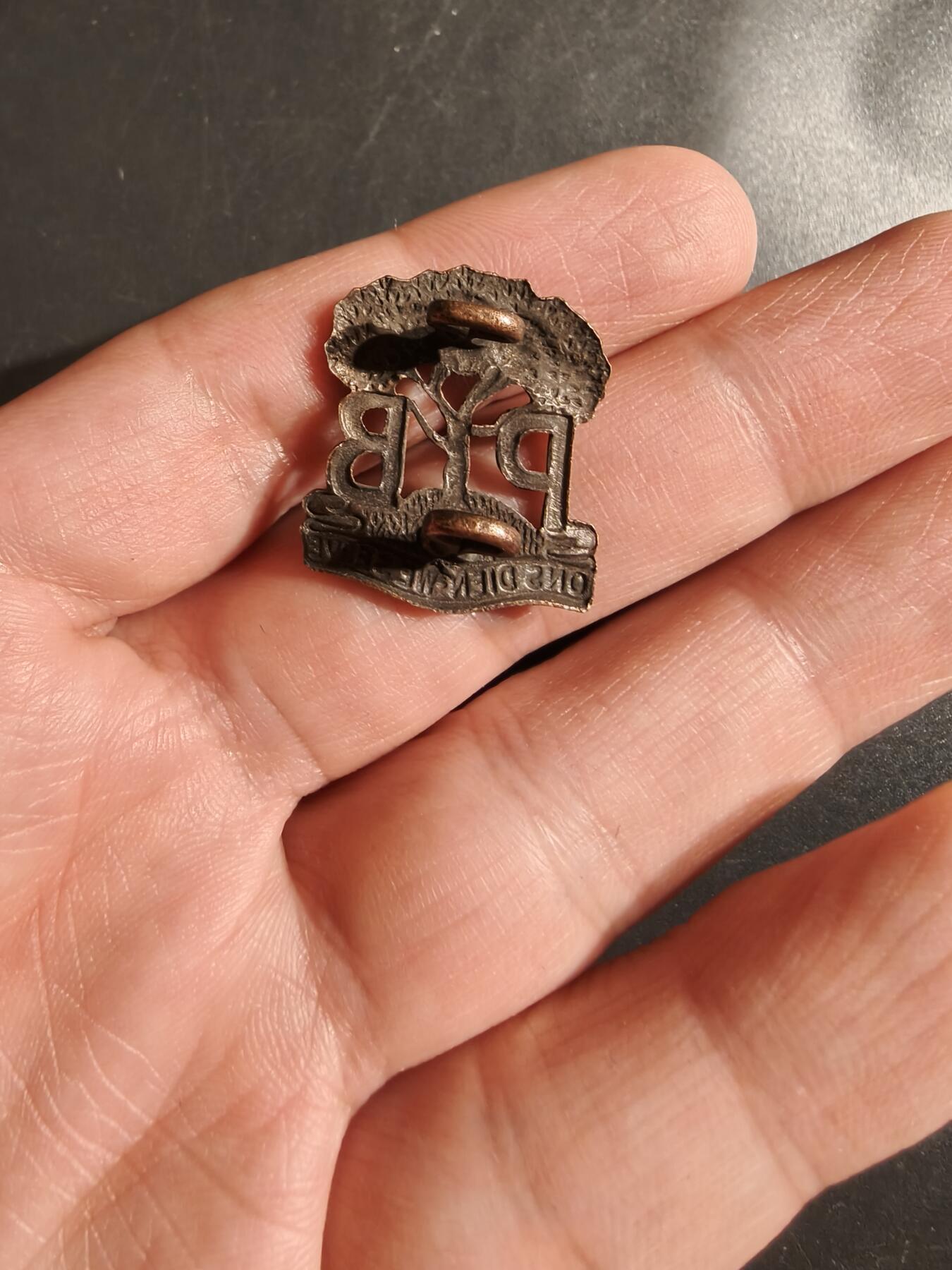 老王徽章第164期