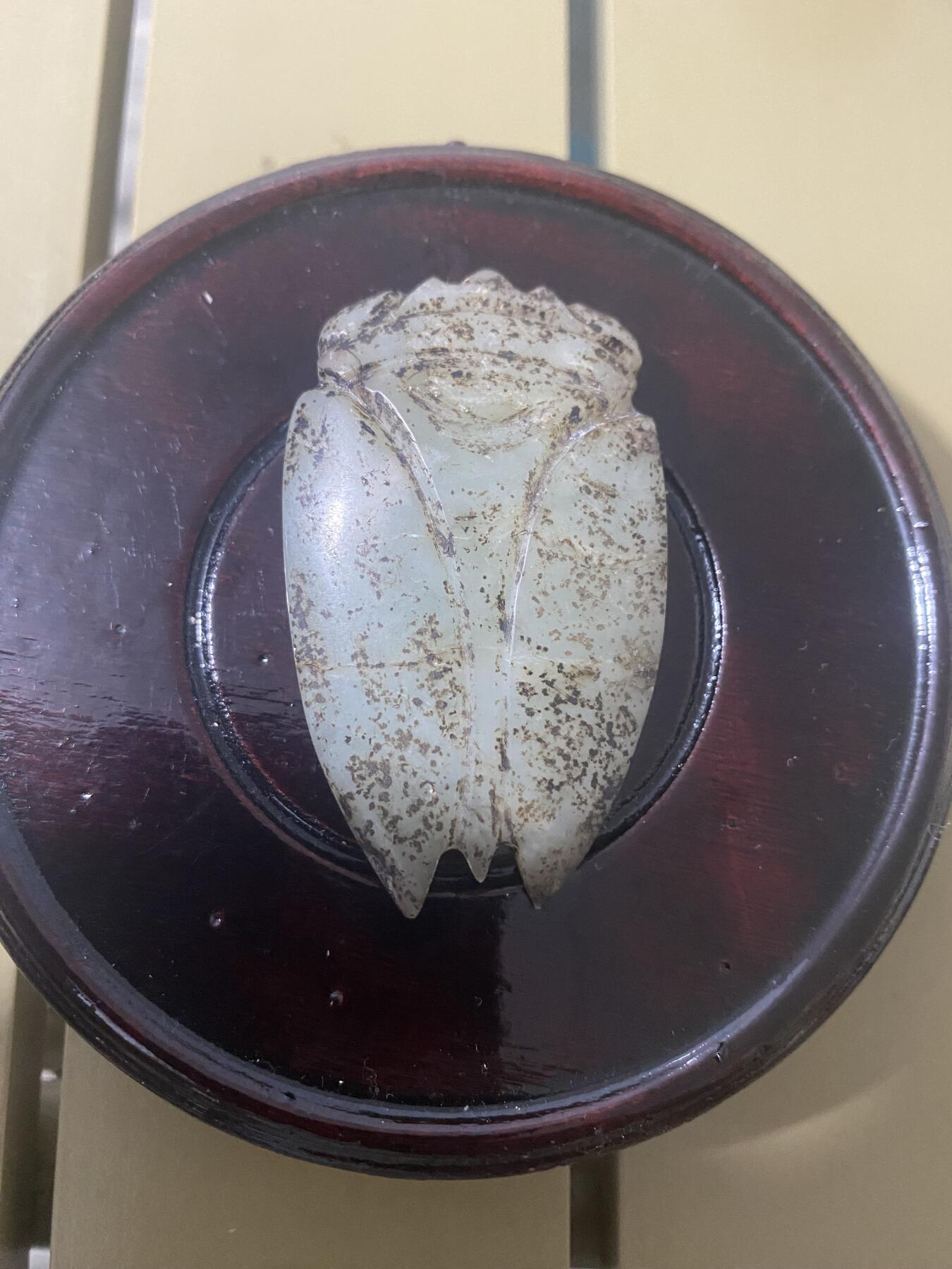 江南站杂项场 玉蝉