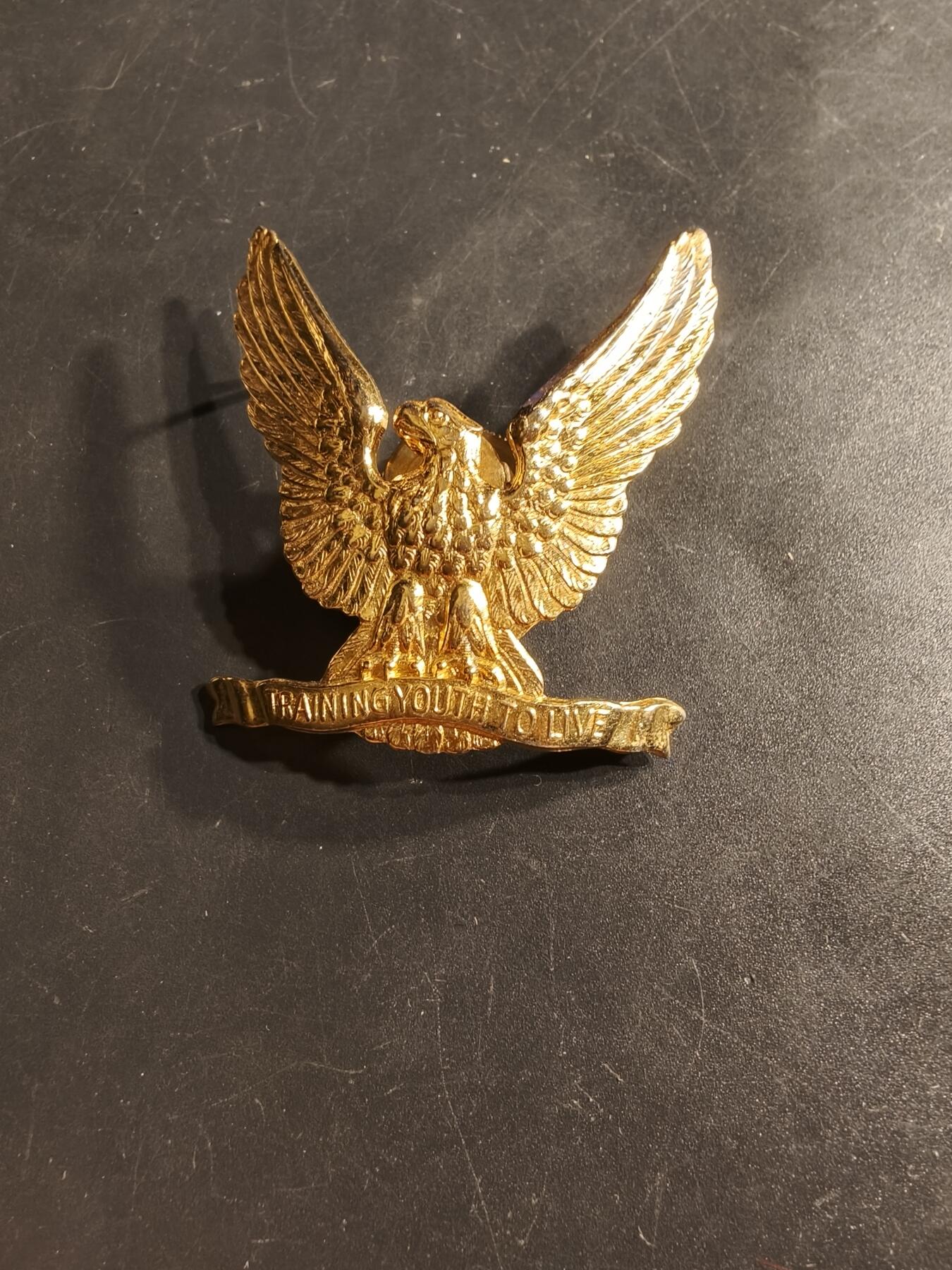 老王徽章第164期