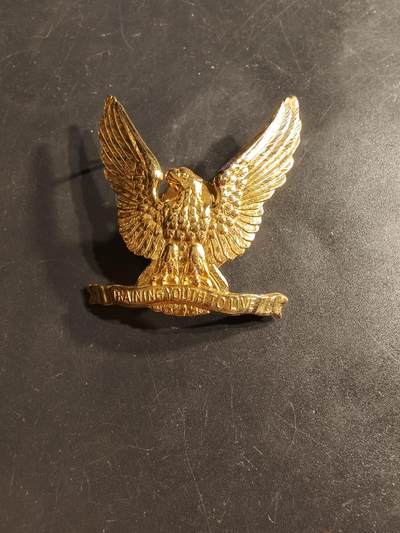 老王徽章第164期 -  美国童子军帽徽