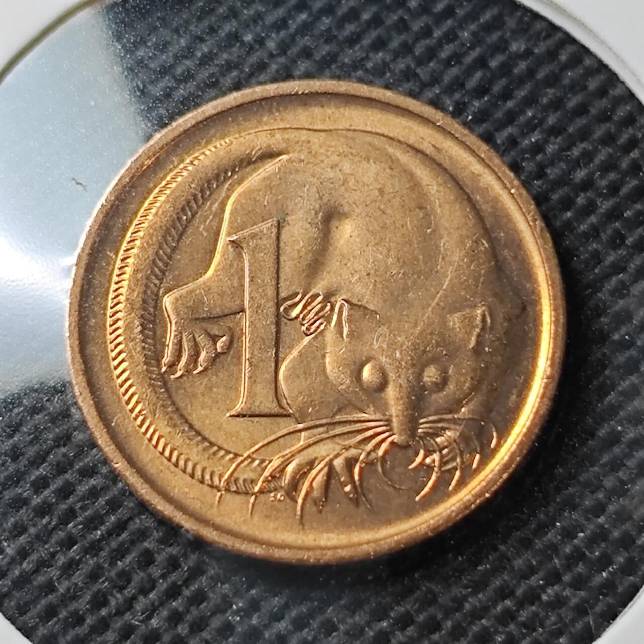 KK钱币收藏小铺  第374场  2月预留时间 周末发货  1989澳大利亚1分铜币 好品