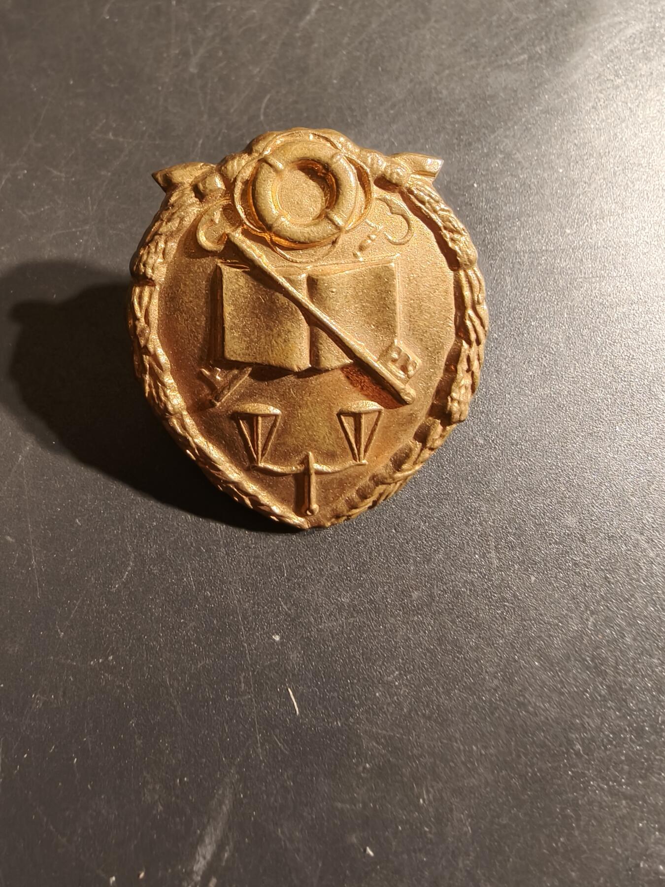 老王徽章第164期  南非惩教署帽徽