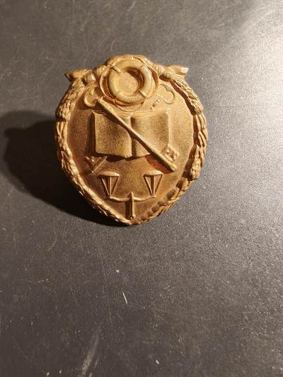 老王徽章第164期 -  南非惩教署帽徽