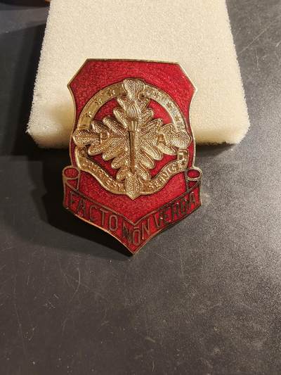 老王徽章第164期 -  美国陆军预备役军官训练团帽徽