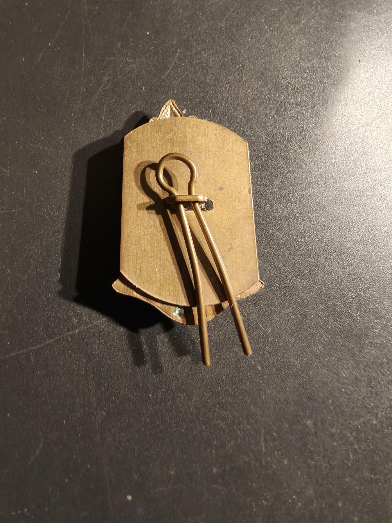 老王徽章第164期