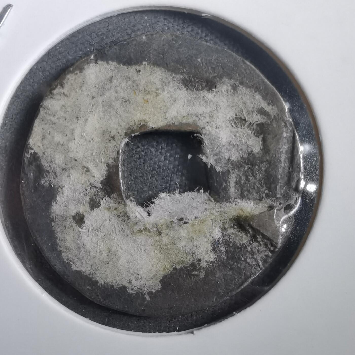 沼泽如烟--第908场 常平通宝