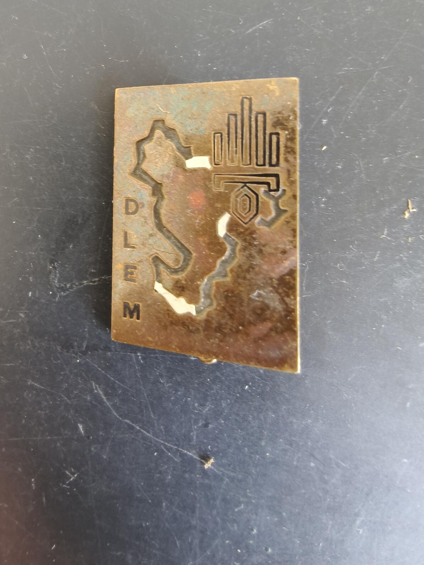 老王徽章第164期 法国外籍军团马约特岛特遣队证章 