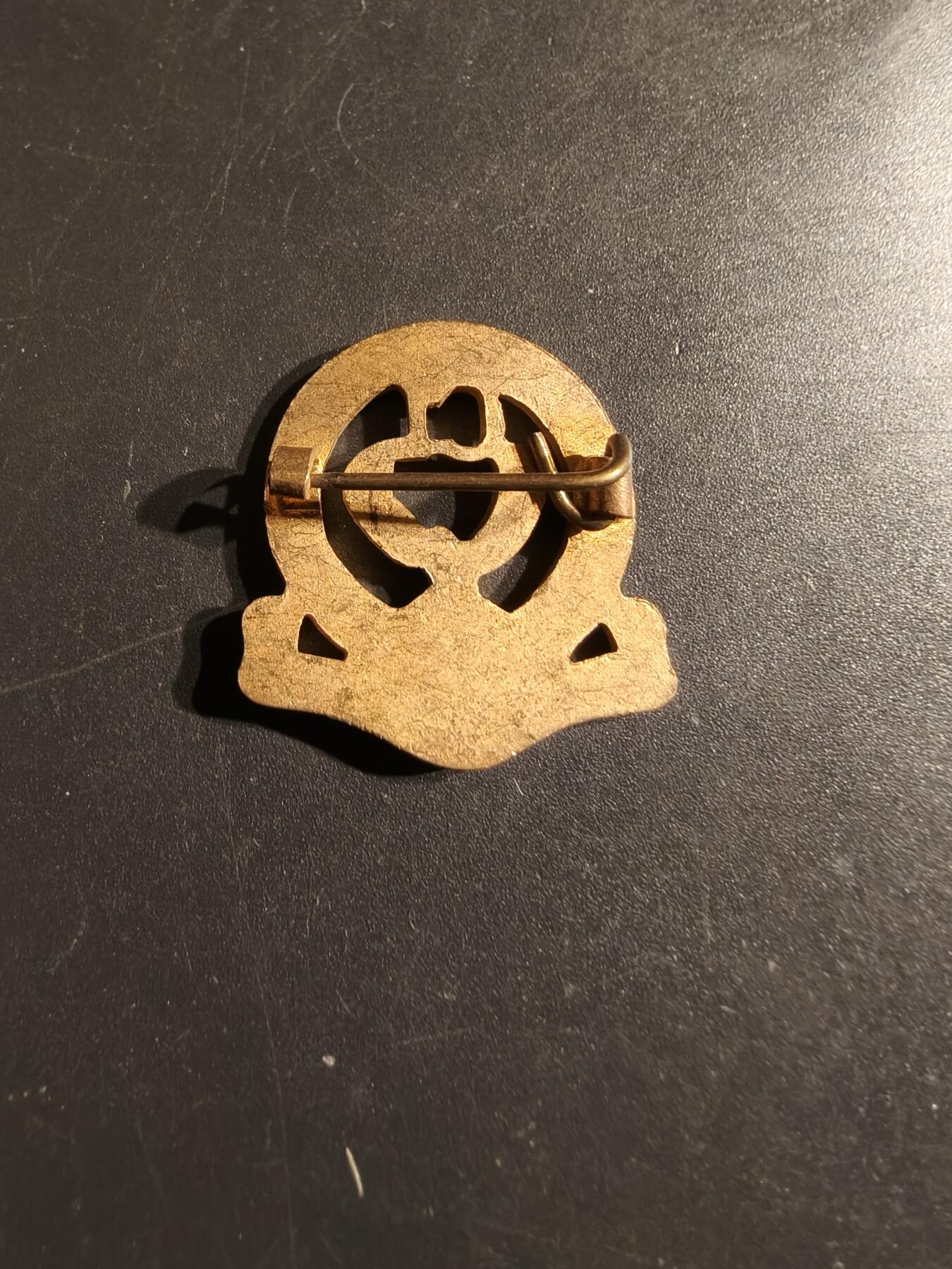 老王徽章第164期