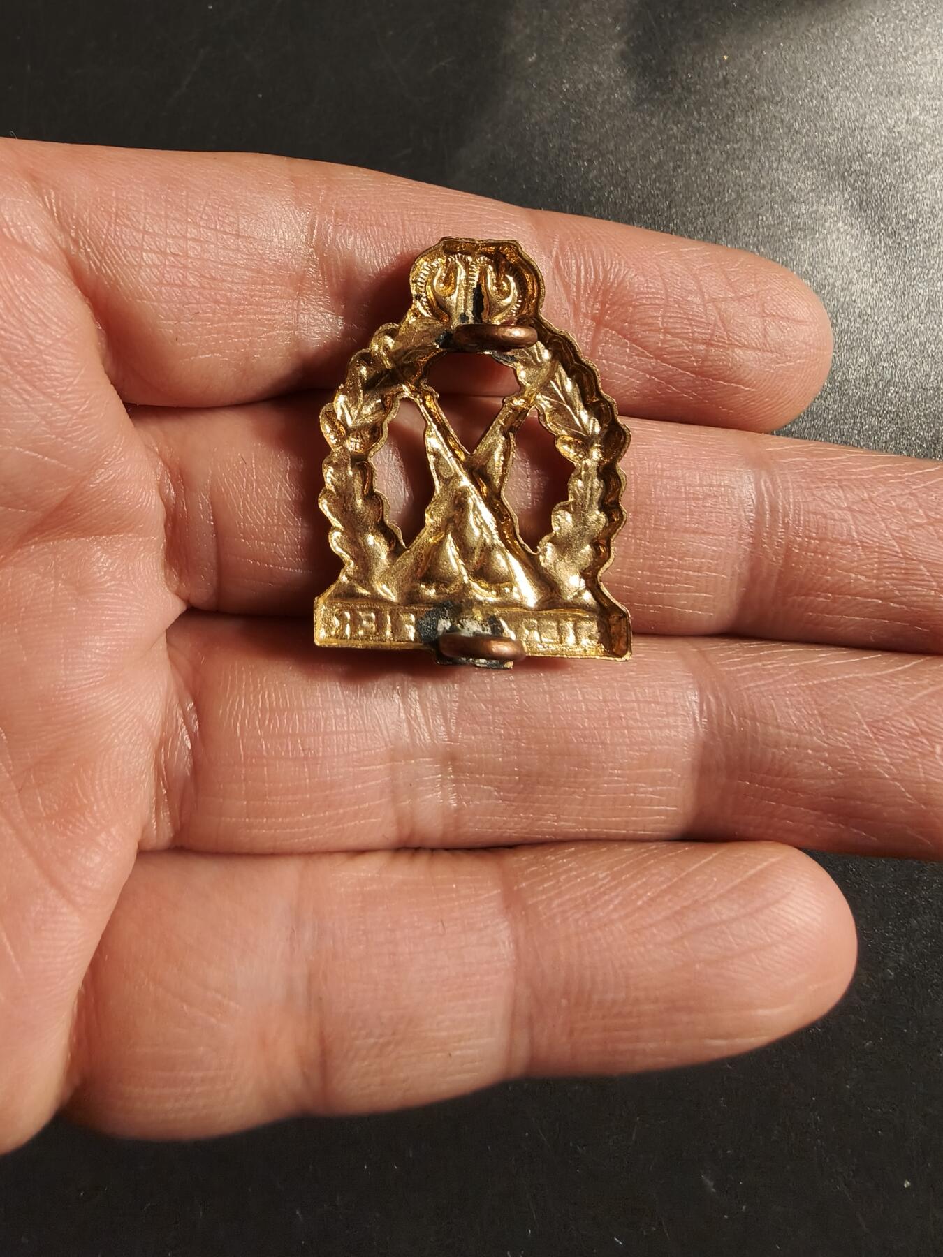 老王徽章第164期  南非国防军托比·穆勒团领章