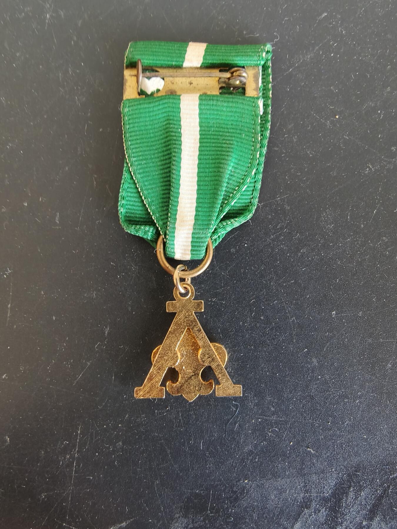 老王徽章第164期 美国童子军奖章 