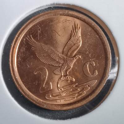 沼泽如烟--第908场 - 南非1996年二分