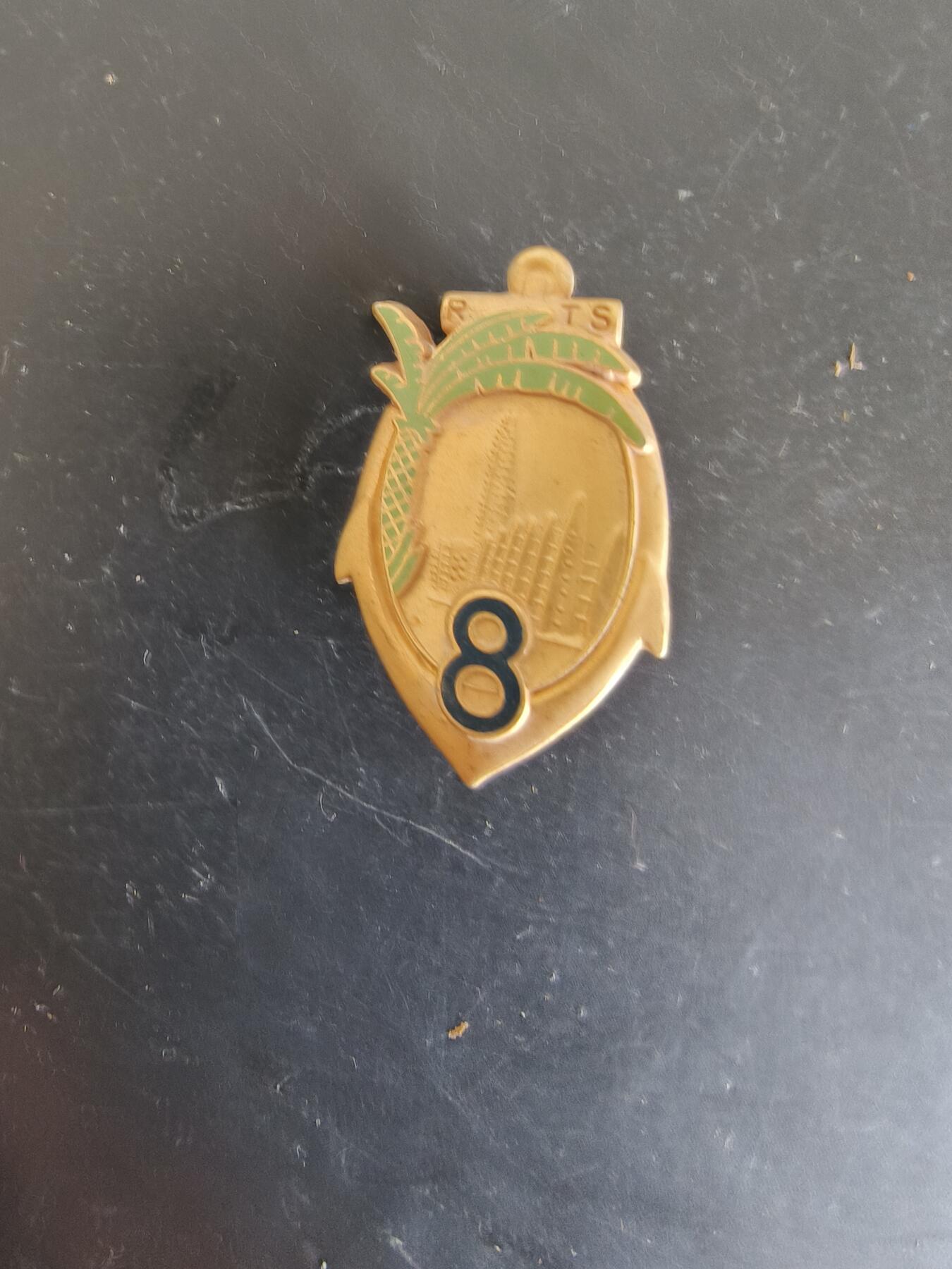 老王徽章第164期  法国第八塞内加尔步枪团证章