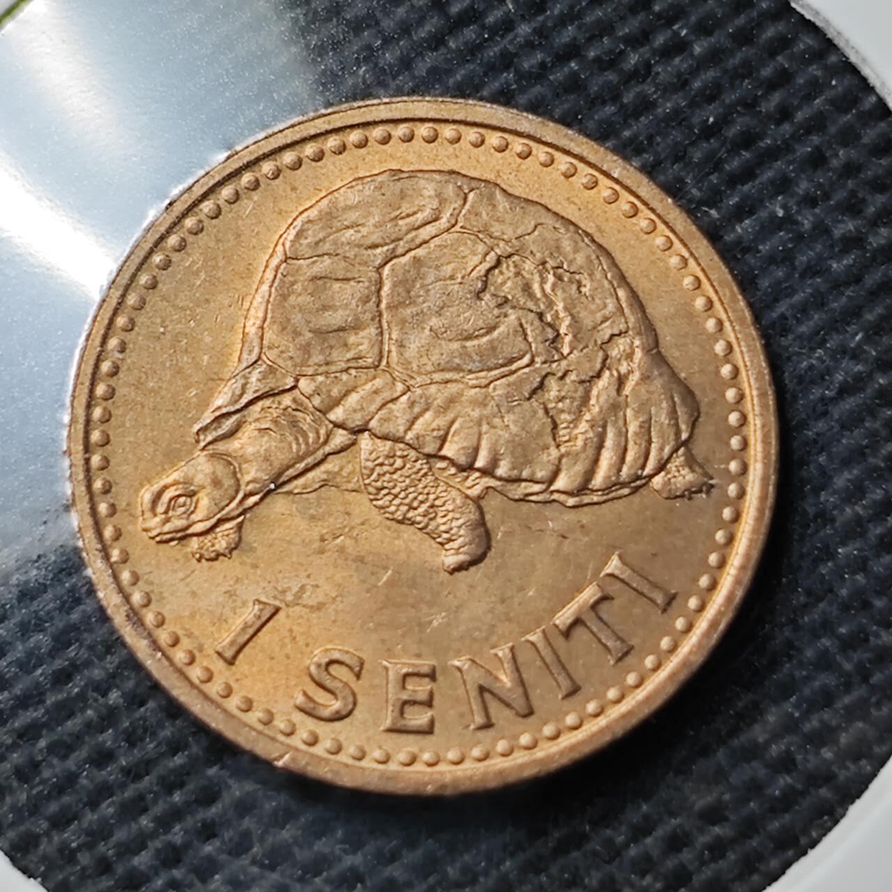 KK钱币收藏小铺  第374场  2月预留时间 周末发货  1967汤加1分铜币 好品