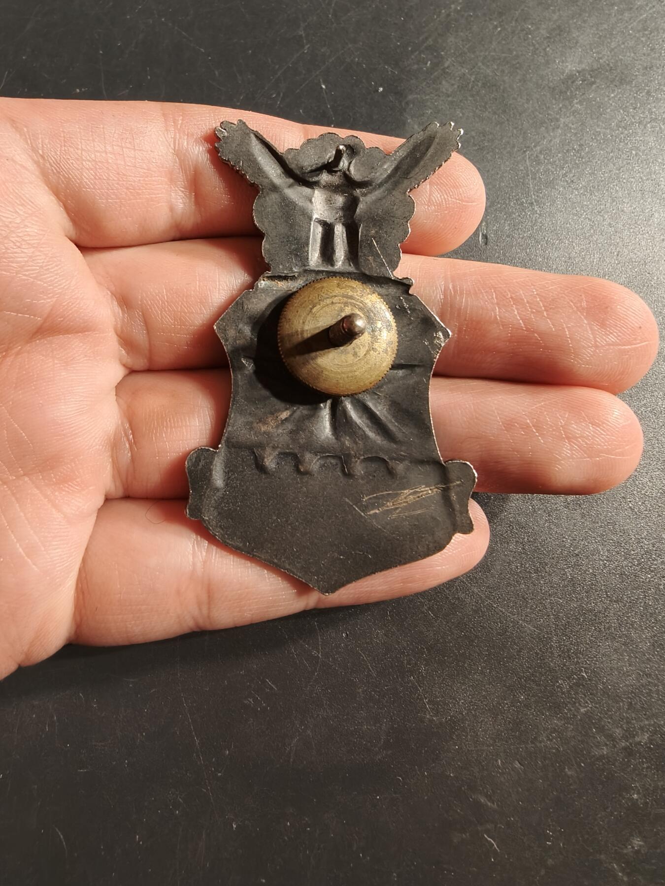 老王徽章第164期  美国预备军官团大檐帽帽徽