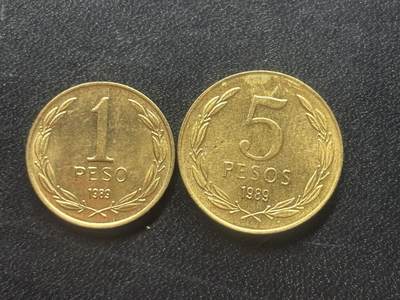 邮泉阁限时拍卖第三十六场 美洲硬币专场（硬币在国外。请付邮费6元。） - 智利1989年2枚